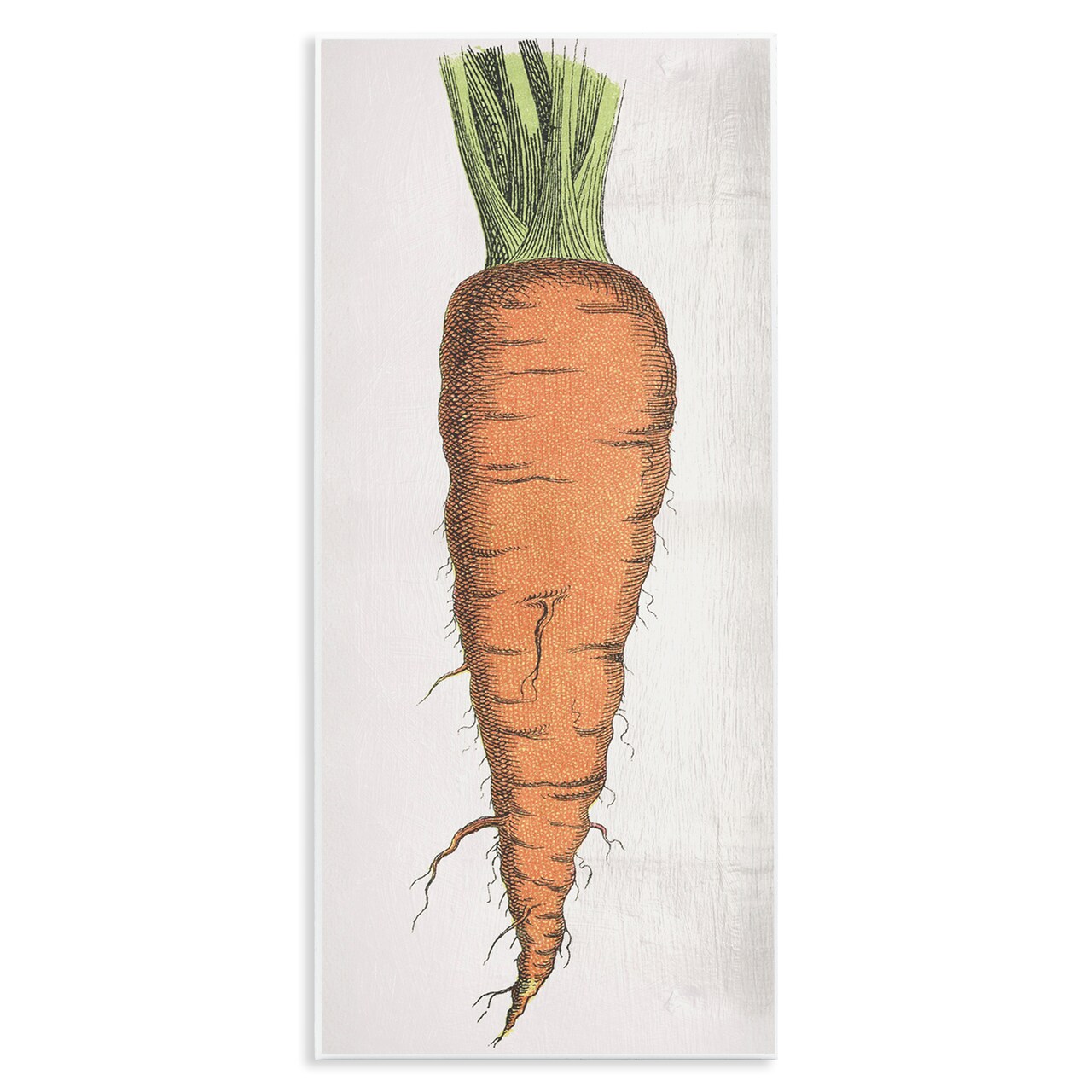 Stupell Industries Detailed Carrot Study Wall Plaque Art Design by Daphne Polselli